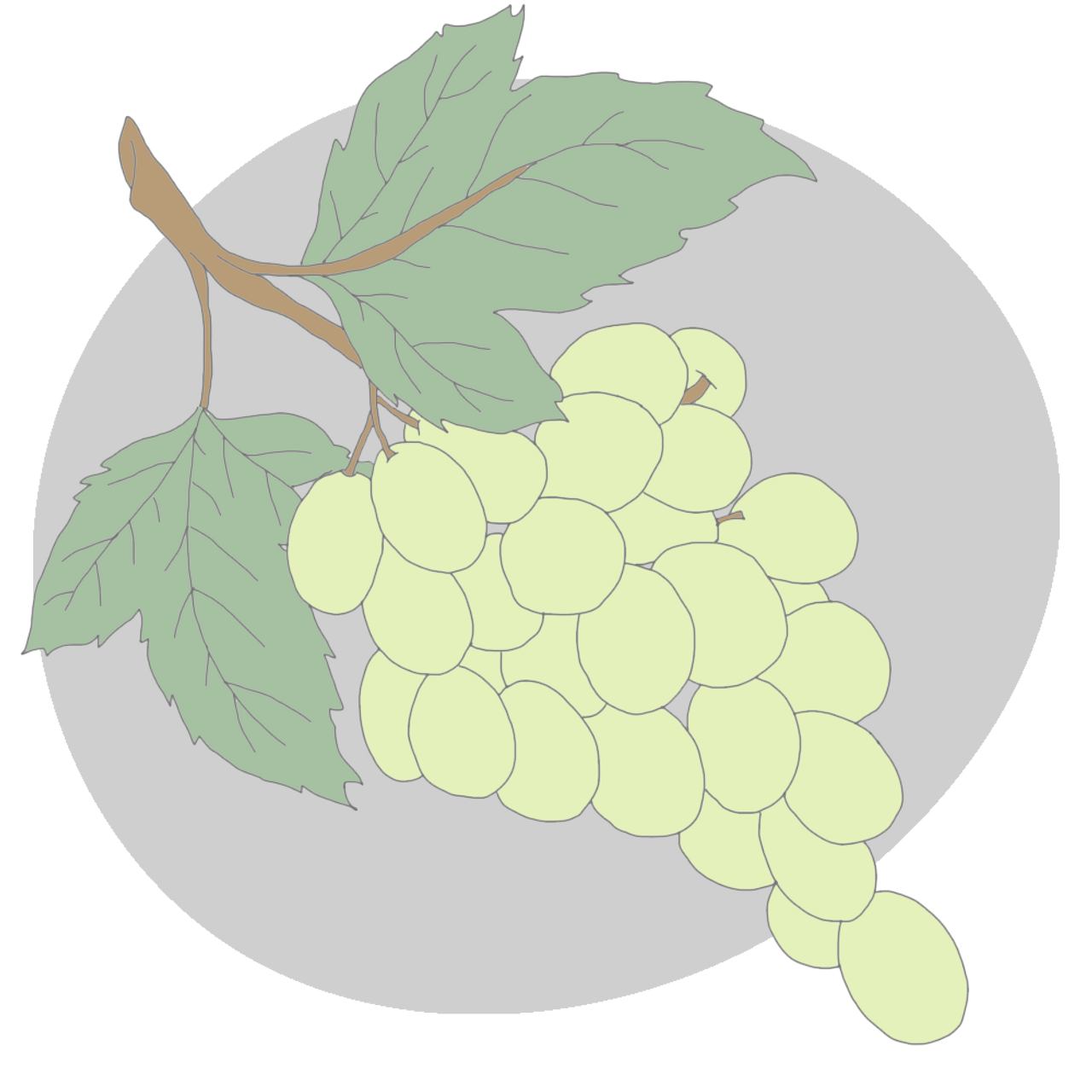 Grape Seed Oil