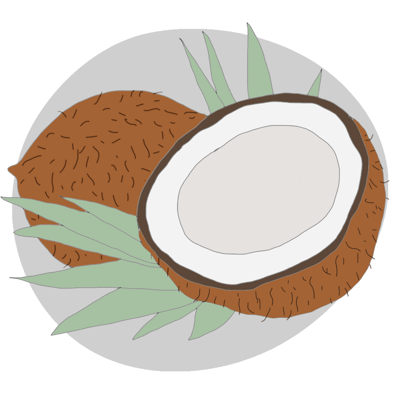 Coconut