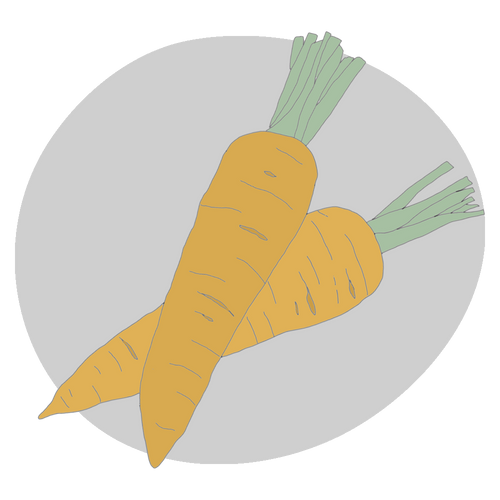 Carrot Oil (Carotenoids)