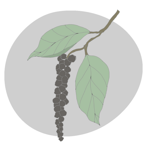 Black Pepper