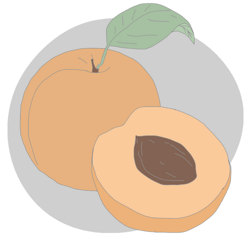 Apricot Kernel Oil