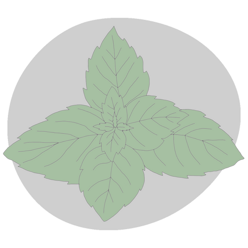Peppermint