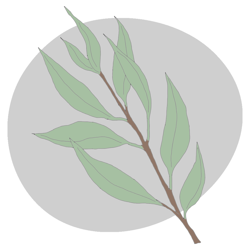 tea-tree.png