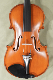 Gliga Gama Elite Violin, Guarneri pattern — actual image of the violin top, revealing the bold, elegant curves of the distinctive Guarneri-style f-holes. Code D1745V