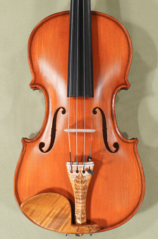 4/4 Intermediate Violin - Gliga Gems 1 Elite - Limited Edition - Code D1790V