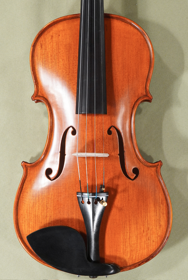 4/4 Gliga Maestro Elite Violin - Guarneri Pattern - Code D1797V