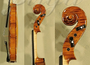 4/4 Gliga Maestro Elite Violin - Guarneri Pattern - Code D1487V