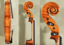4/4 Gliga Gama Elite Advanced Violin - Stradivari Pattern - Elevated Sound - Code D1708V