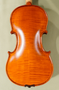 4/4 Gliga Gama Elite Extra Advanced Violin - Stradivari Pattern - Exceptional Sound - Code D1759V