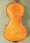 3/4 Gliga Gama Elite Extra Advanced Violin - One Piece Back - Code D1784V