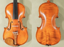 4/4 Gliga Gama Elite X Advanced Violin - Stradivari Pattern - Code D1787V - Master Sound - Limited Edition - Honey Finish