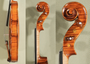 4/4 Gliga Gama Elite X Advanced Violin - Stradivari Pattern - Code D1787V - Master Sound - Limited Edition - Honey Finish