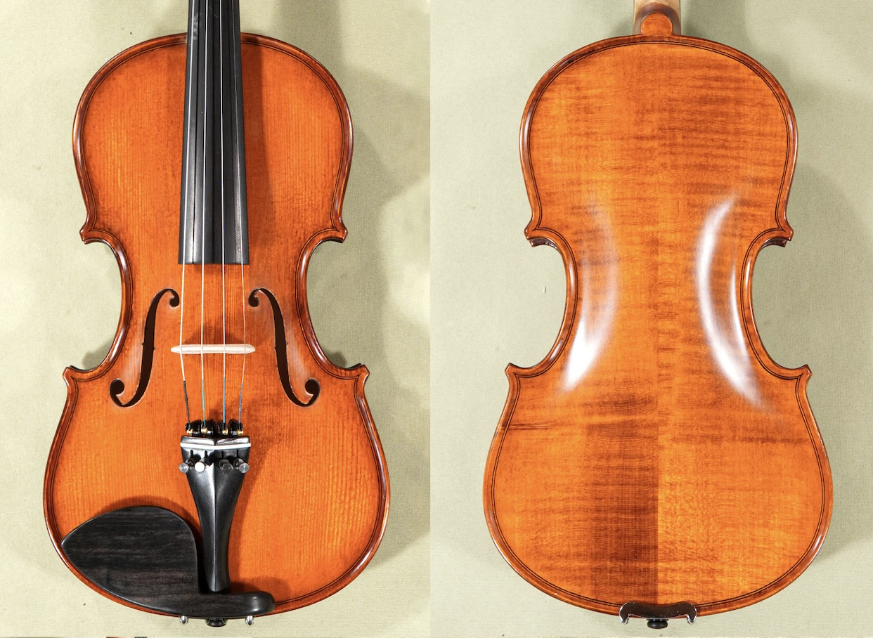 Front and back of the 3/4 Gliga Gems 1 Elite Extra violin D1678V, a Stradivari pattern with ebony fittings.