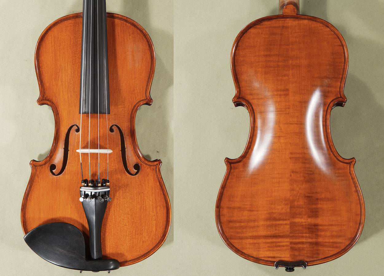 Front and back of the 3/4 Gliga Gems 1 Elite Extra violin D1679V, a Stradivari pattern with ebony fittings.