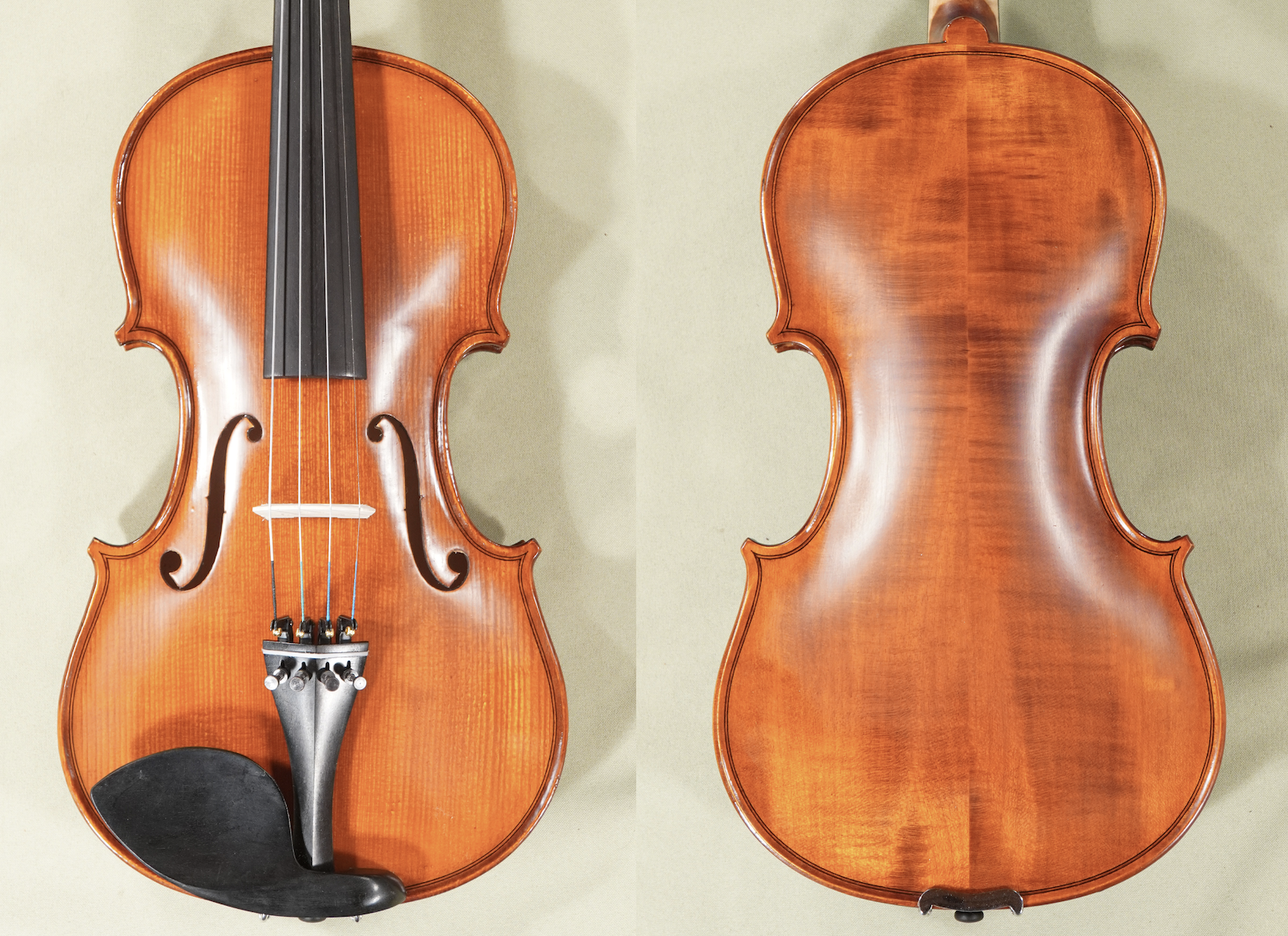 4/4 Gliga Gems 1 Elite Intermediate Student Violin - Code D1703V - Back and Front Views
