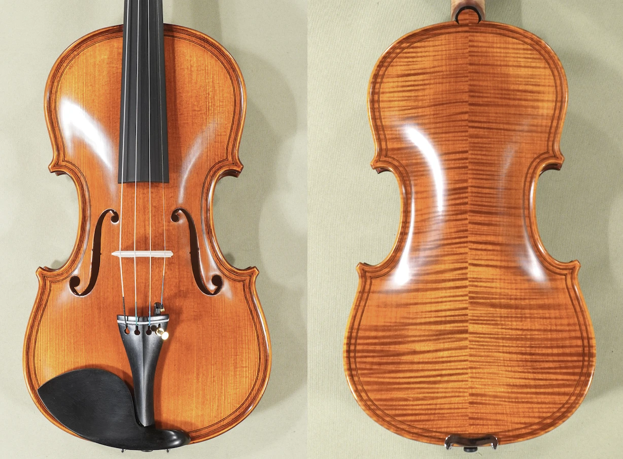 lion-gliga-vasile-maestro-violin-d0265v-4.png