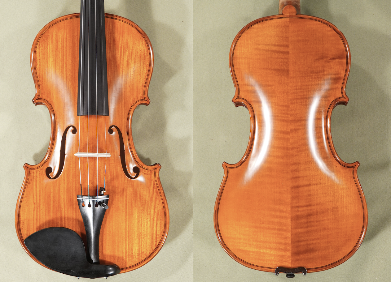D1698V - 4_4 Gliga gems 1 Intermediate Level Student Violin Back and Front