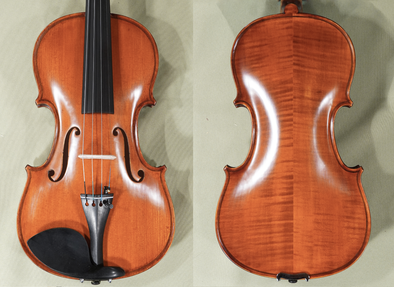 4/4 Gliga Gems 1 Intermediate Level Student Violin Back and Front - Code D1755V