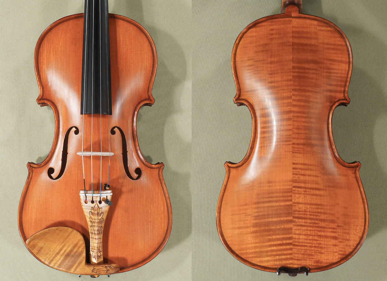 D1790 Gliga Gems 1 Elite Intermediate Level Violin - Back and Front