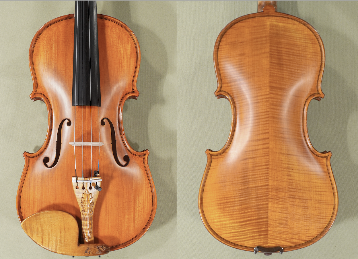 D1791 Gliga Gems 1 Elite Intermediate Level Violin - Back and Front