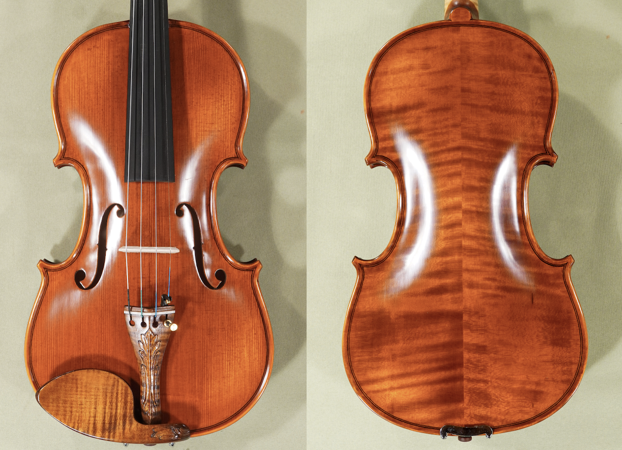4/4 Gliga Gama Elite X Advanced Violin D1709, Stradivari Pattern, full front and back view. Master Sound setup with Pirastro strings.