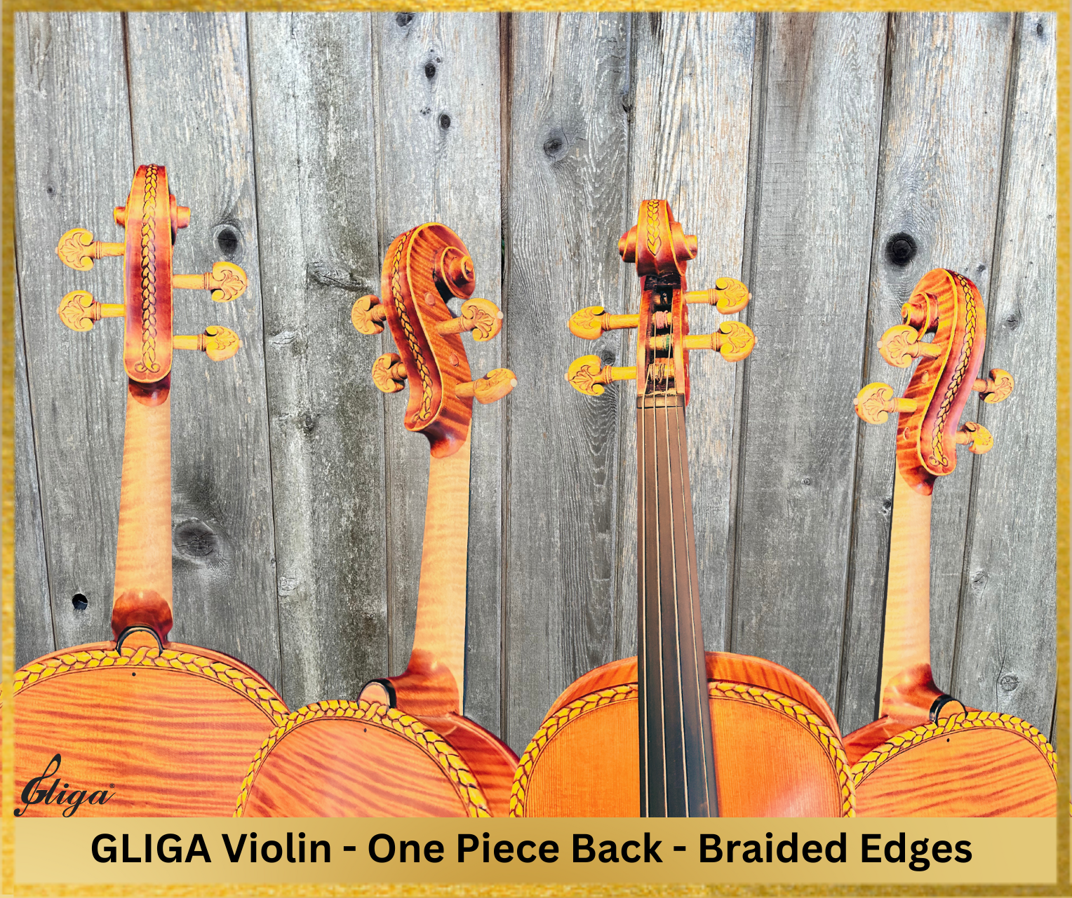 Advanced Violin For Sale at Gliga Violin Store in Vancouver