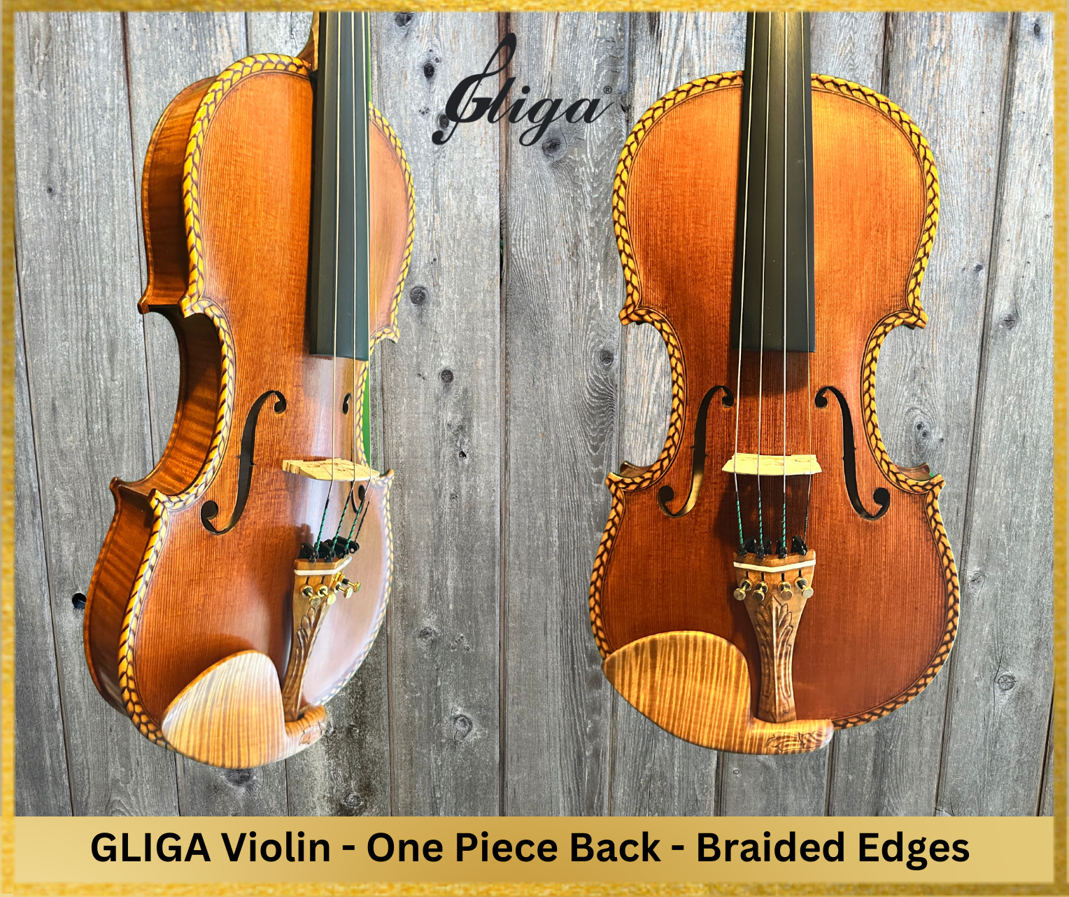 Advanced Violin For Sale at Gliga Violin Store in Vancouver