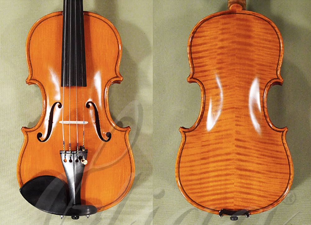 1-4-gama-advanced-violin-for-sale-in-vancouver-d1460v.png