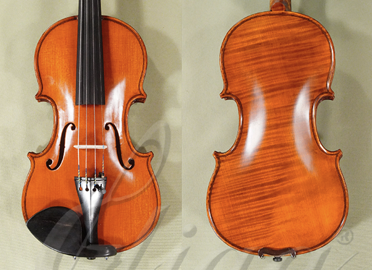 1-4-intermediate-advanced-violin-for-sale-in-vancouver-gliga-gems-1-elite-one-piece-back-d1459v.png