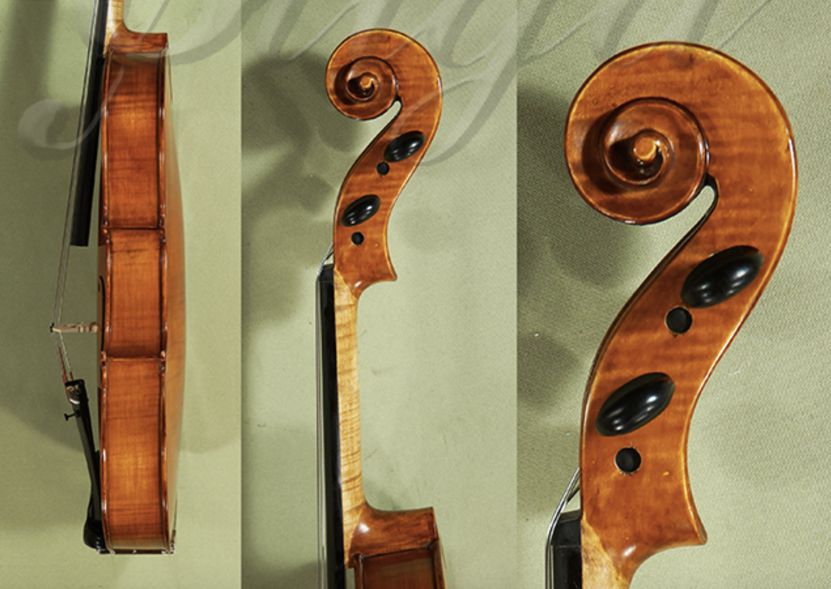 16-22-gems-1-elite-one-piece-back-viola-intermediate-level-viola-gliga-c9968v-sides.png