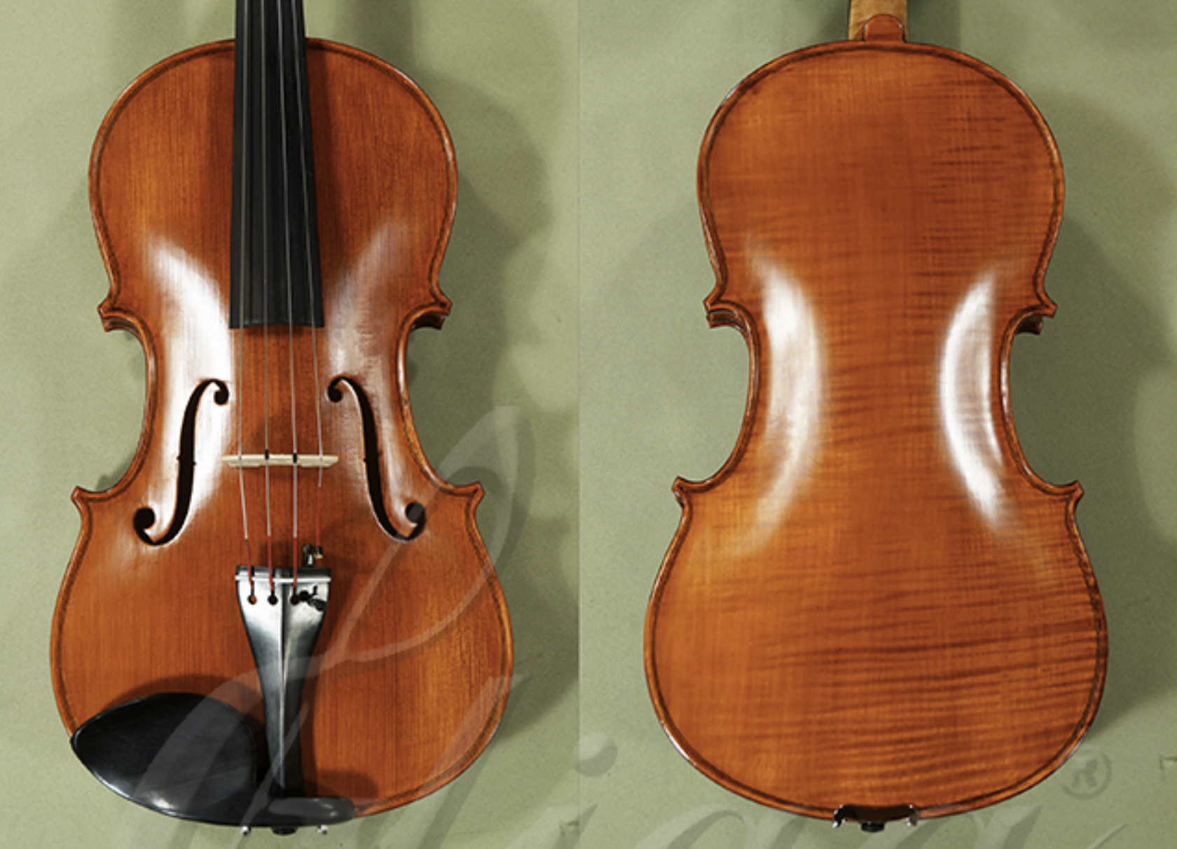 16-22-gems-1-elite-one-piece-back-viola-intermediate-level-viola-gliga-c9968v.png