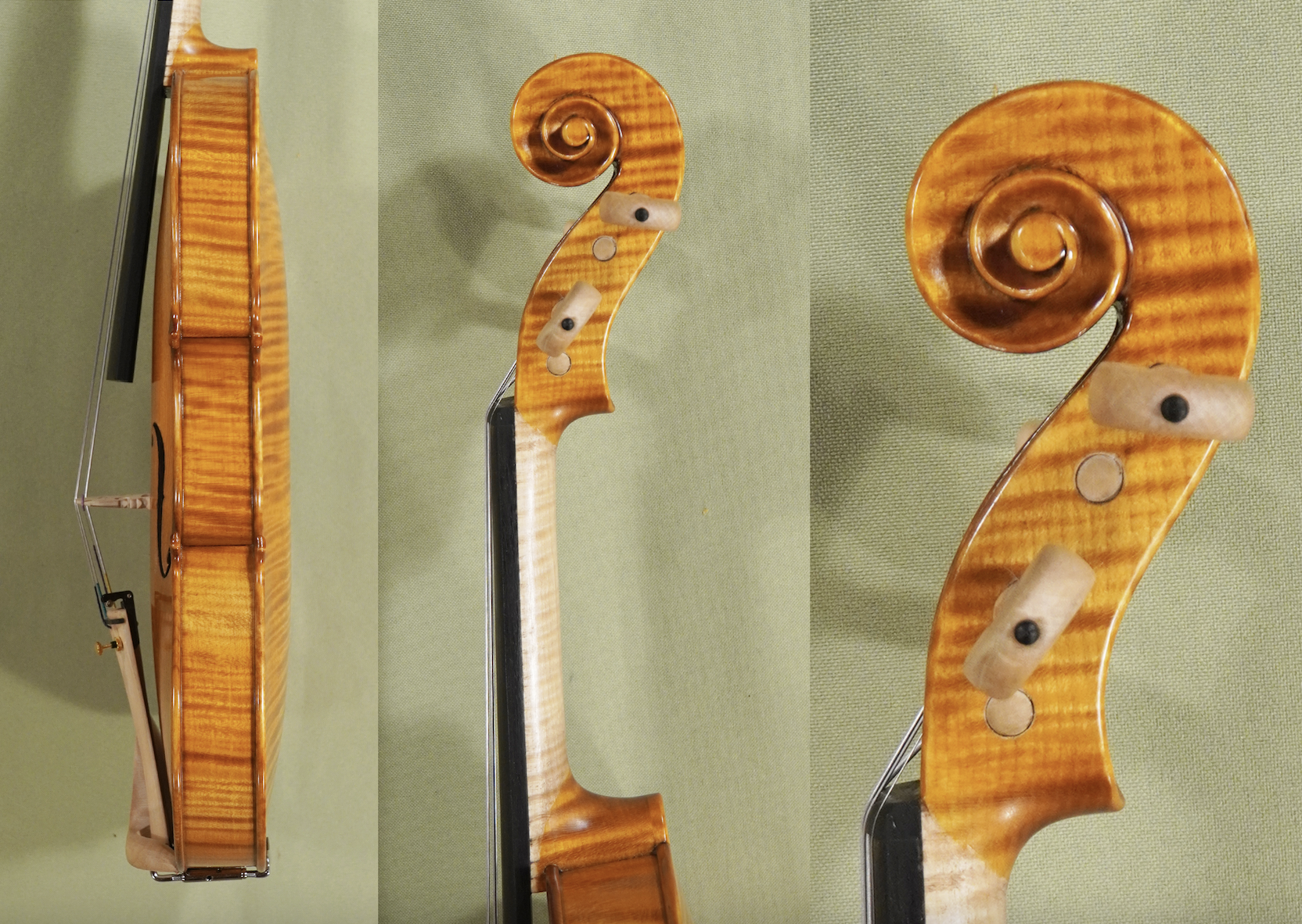 4-4-gliga-maestro-elite-violin-amati-pattern-code-d1526v-1.png