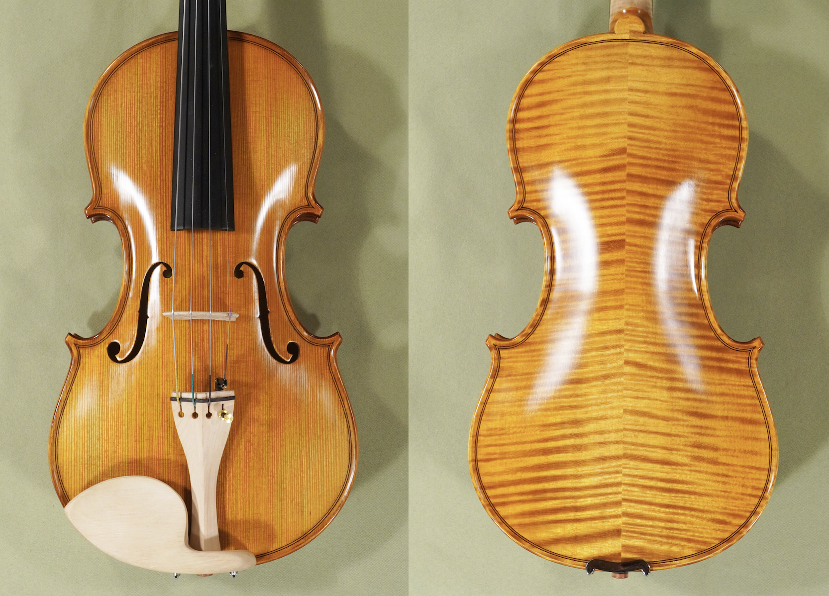 4-4-gliga-maestro-elite-violin-amati-pattern-code-d1526v.png