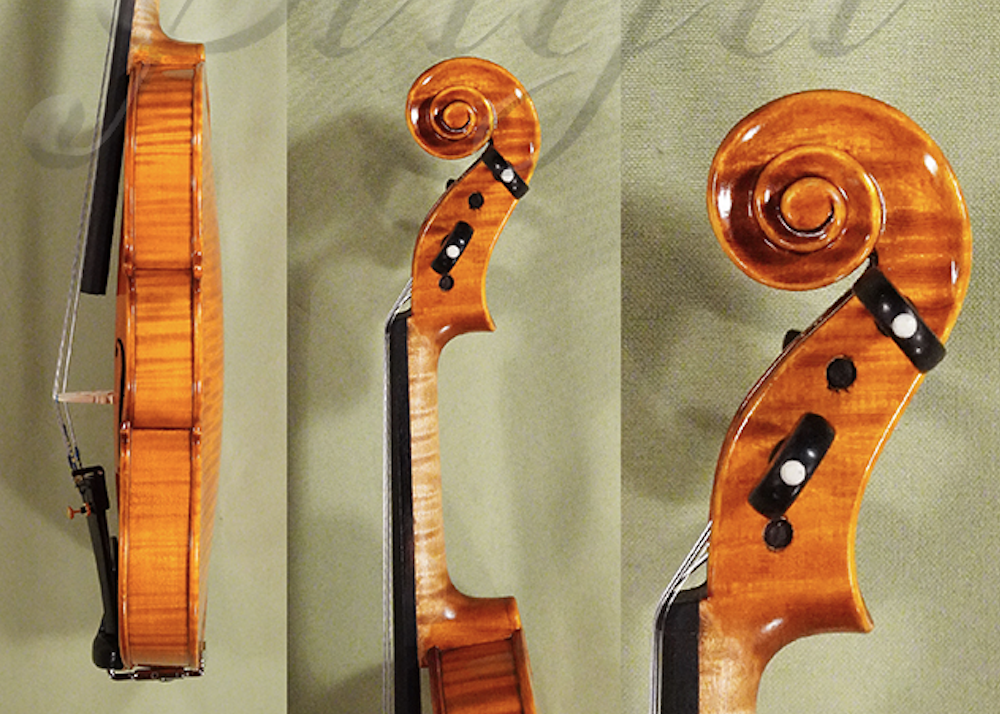 buy-a-1-4-gama-advanced-violin-for-sale-in-vancouver-d1460v.png