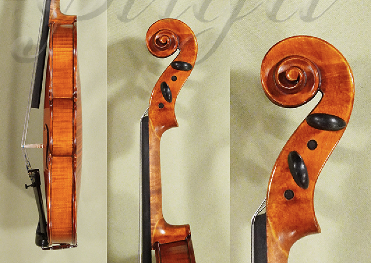 buy-a-1-4-intermediate-advanced-violin-for-sale-in-vancouver-gliga-gems-1-elite-one-piece-back-d1459v.png