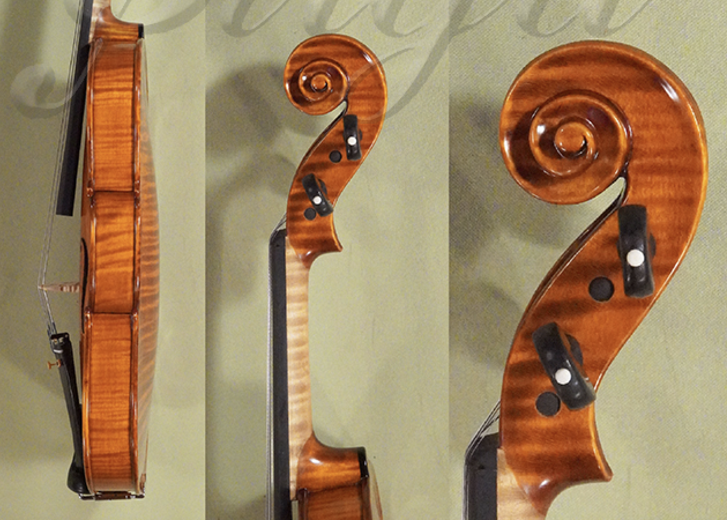 d0886-gliga-maestro-violin-celtic-flower-violin4-4gligafdceltic-sides-scroll.png