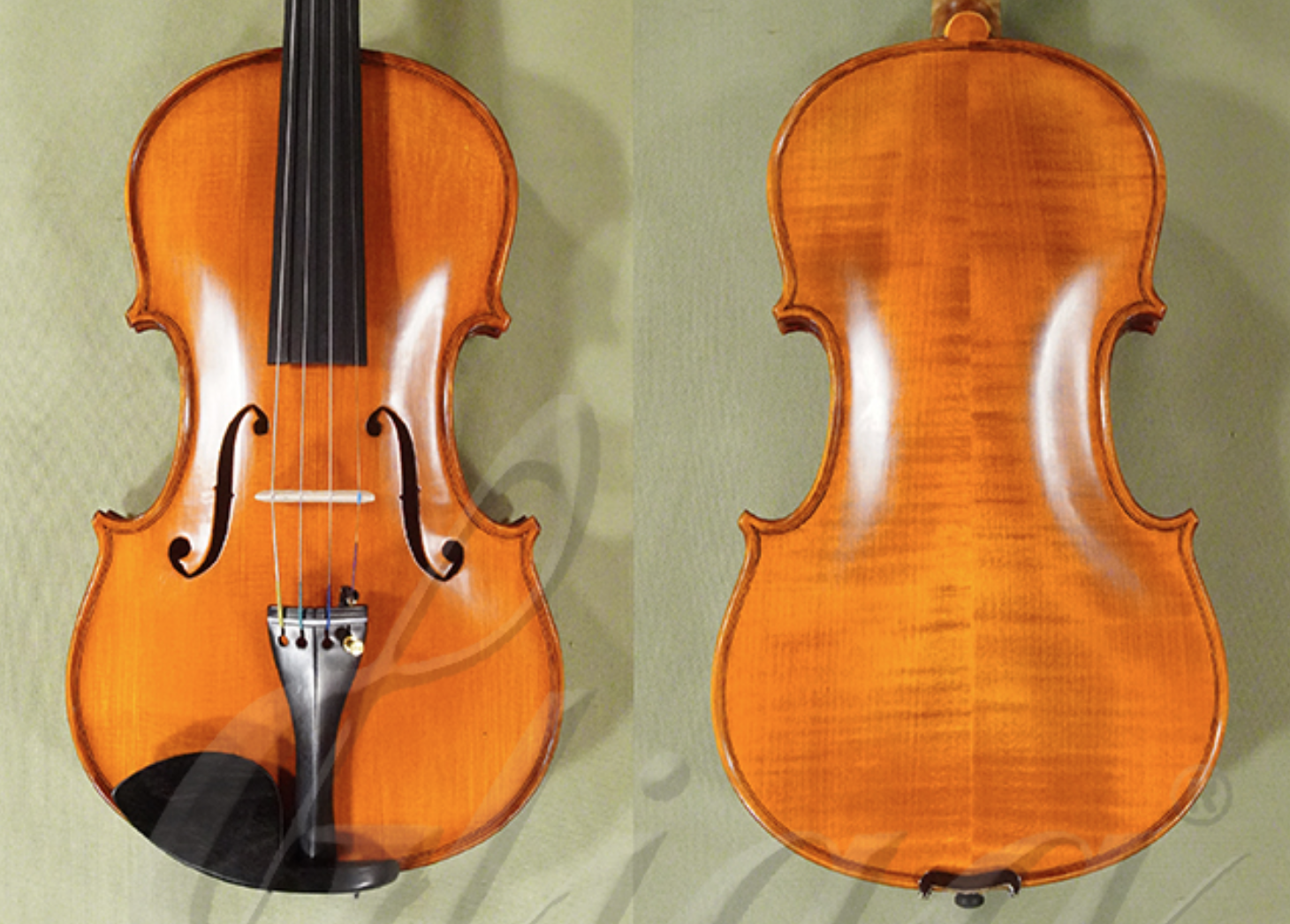 4/4 Gliga Gama Elite Extra Violin - Guarneri Pattern - Code D1367V - Master  Sound