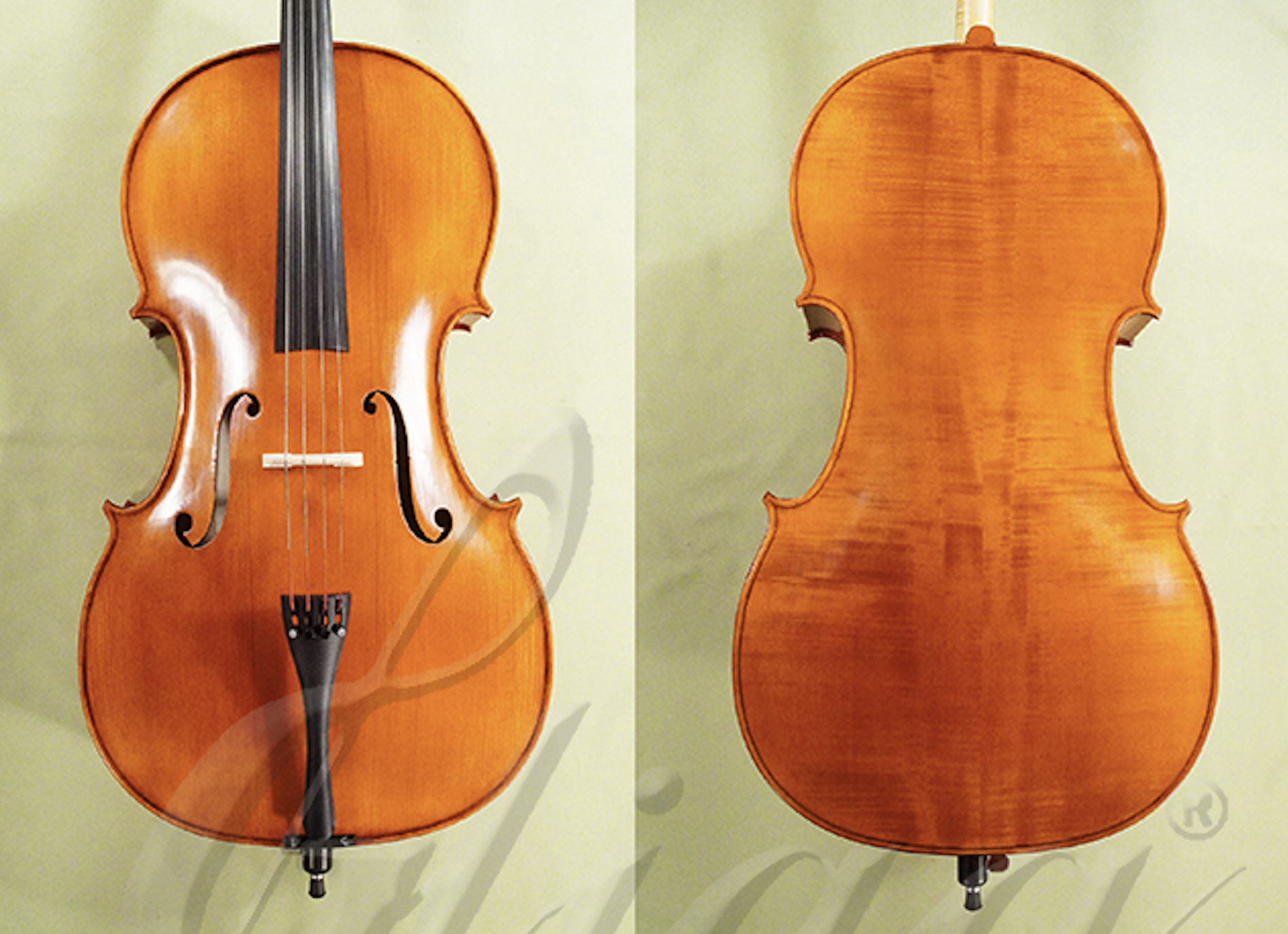 d1415-gliga-gems-1-cello-4-4-intermediate-level-cello-for-sale-in-vancouver.png