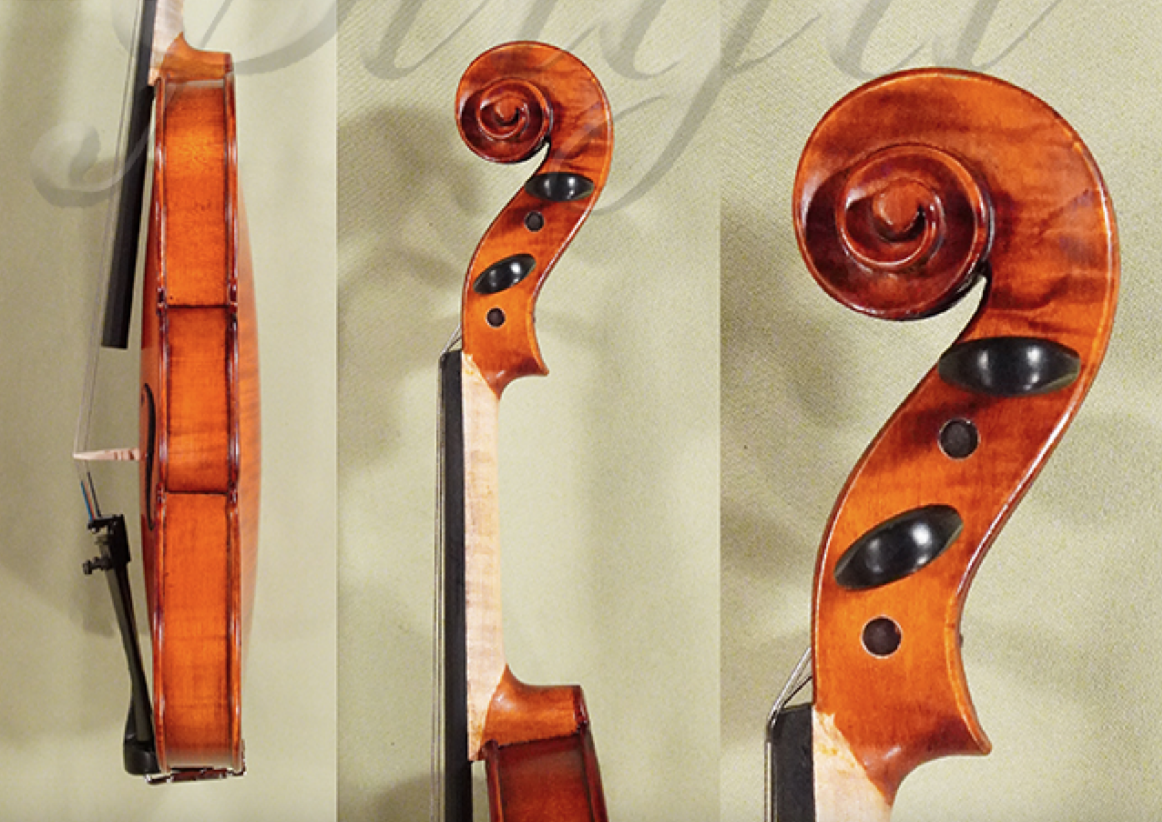 d1438-gliga-gems-2-student-violin-sides.png