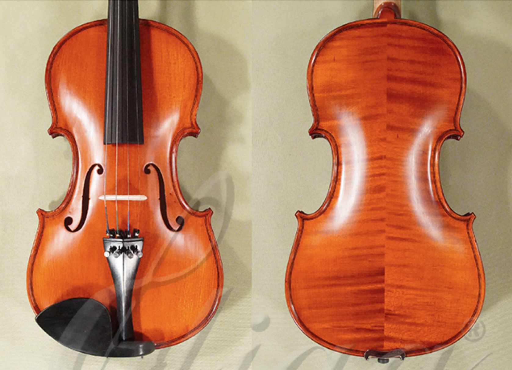 d1438-gliga-gems-2-student-violin.png