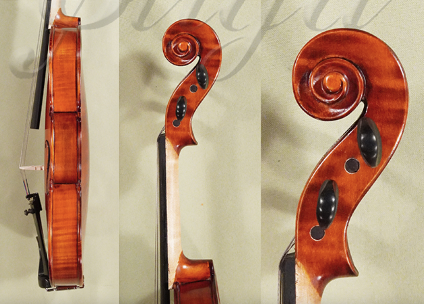 d1439-gliga-gems-2-student-violin-back.png