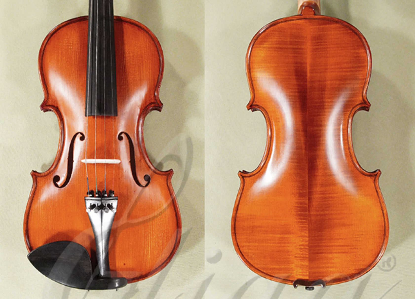 d1441-gliga-gems-2-student-violin.png