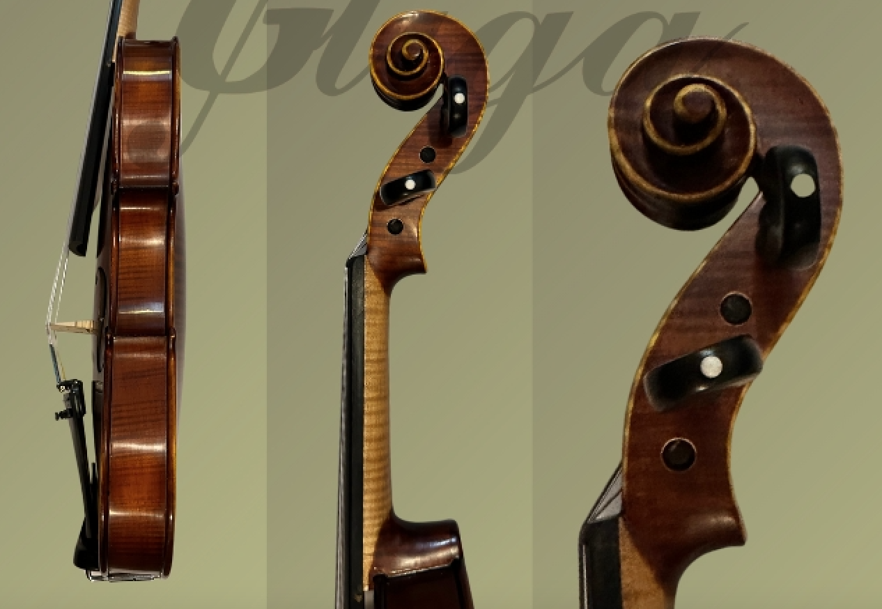 d1481v-gliga-advanced-level-violin-gama-elite-violin-4-4-antique-finish-scroll-neck.png