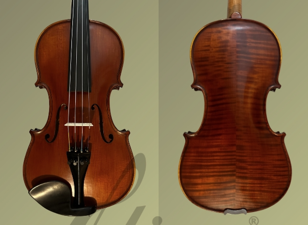 d1481v-gliga-advanced-level-violin-gama-elite-violin-4-4-antique-finish-top-and-back.png