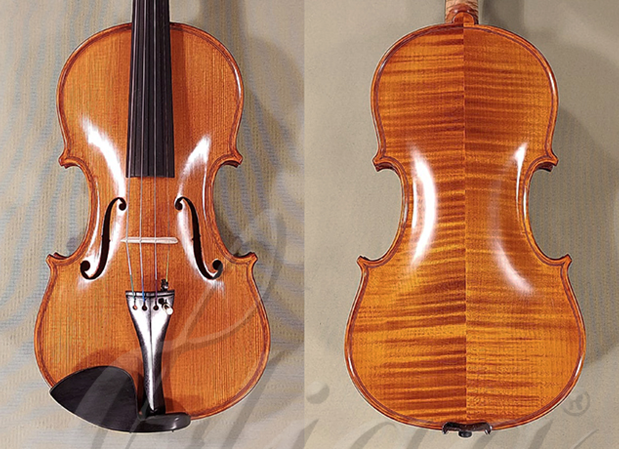 d1496violin4-4-gliga-gama-elite1.png