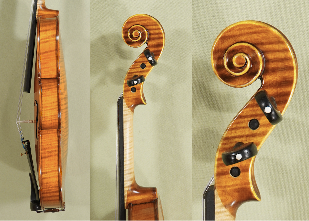 d1637-gliga-violin-4-4gama-elite.png