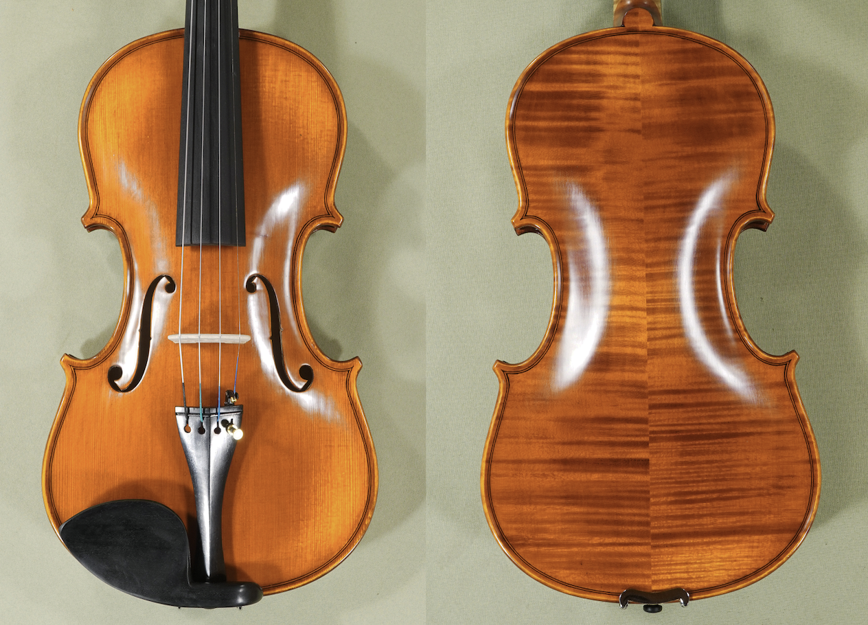 d1643-gliga-advanced-violin4-4gamaant.png