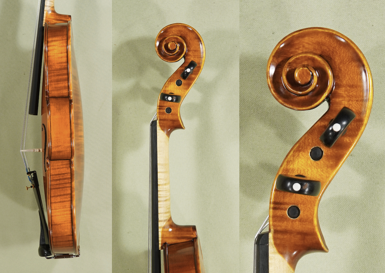 d1643-gliga-violin-advanced-violin4-4gamaant.png