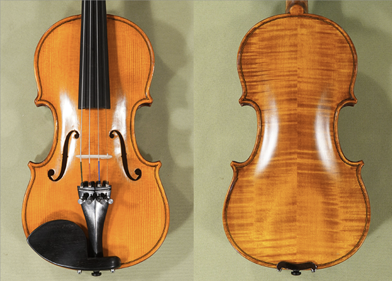 d1667violin1-4gems2-studnet-violin-gliga-.png