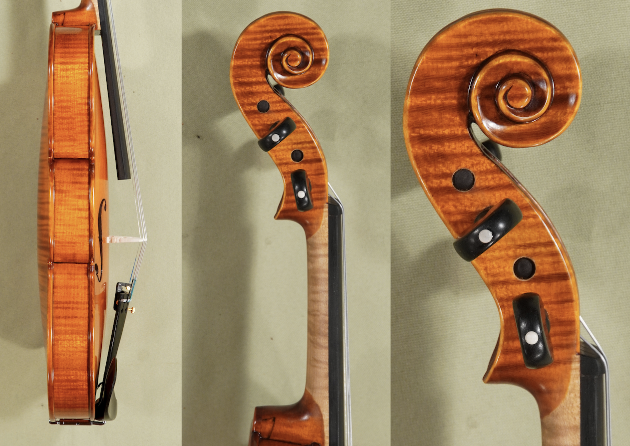 d1674-gliga-advanced-violin-violin-4-4-gama-elite.png